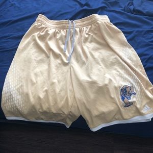 Adidas Basketball “Panthers” Game  Shorts